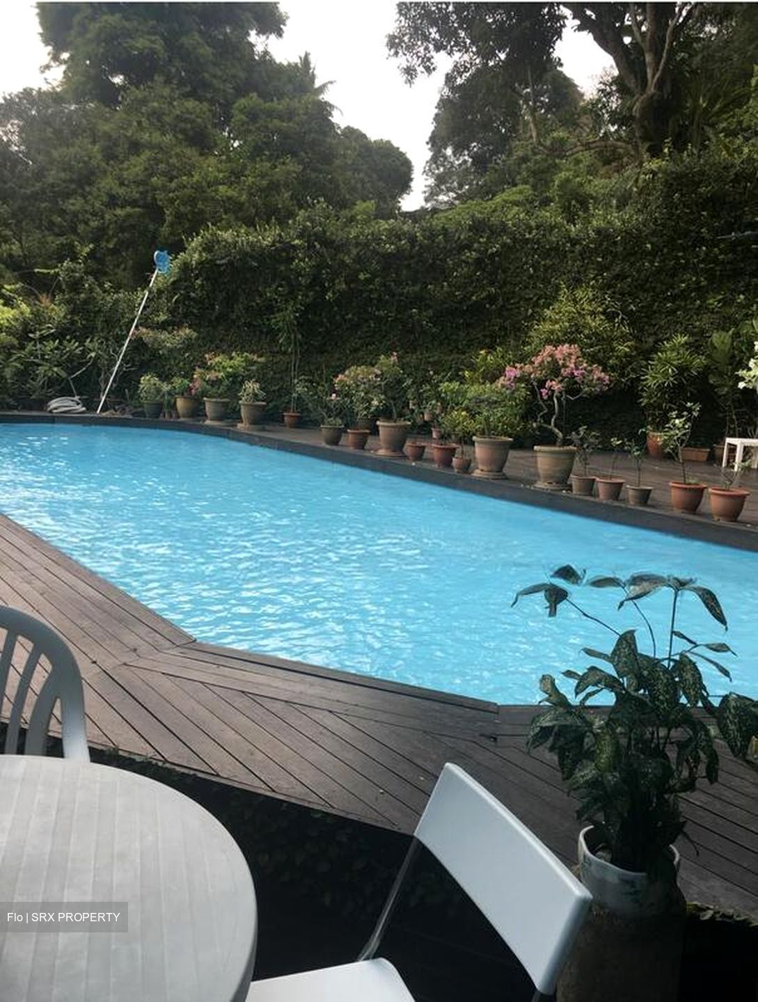 Greenbank Park (D21), Detached #512148721